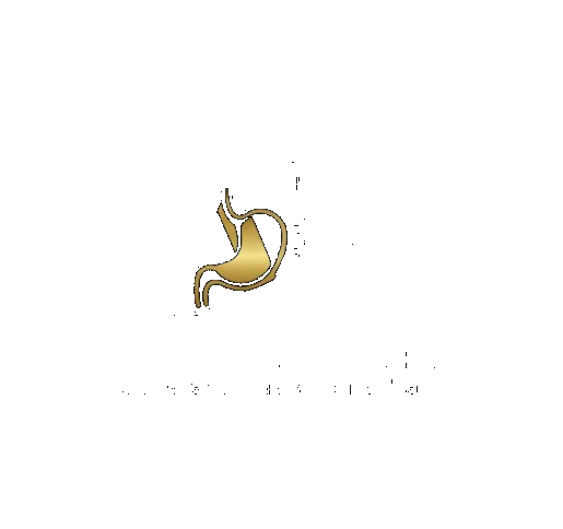 د. أحمد خيري